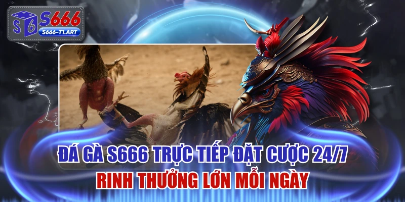 Đá Gà S666 Trực Tiếp Đặt Cược 24/7 Rinh Thưởng Lớn Mỗi Ngày