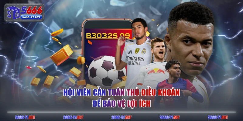 Hội viên cần tuân thủ điều khoản để bảo vệ lợi ích