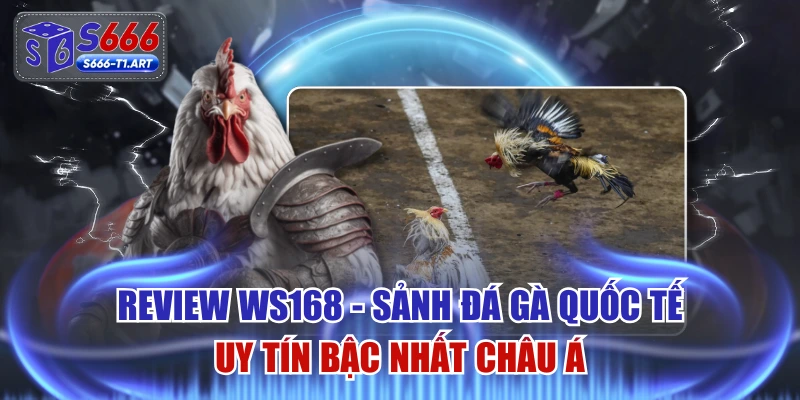 Review WS168 - Sảnh Đá Gà Quốc Tế Uy Tín Bậc Nhất Châu Á