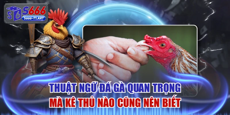 Thuật Ngữ Đá Gà Quan Trọng Mà Kê Thủ Nào Cũng Nên Biết