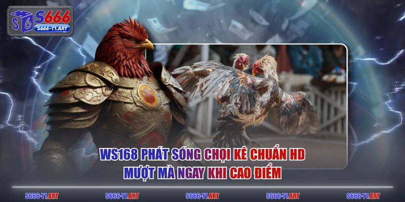 WS168 phát sóng chọi kê chuẩn HD, mượt mà ngay khi cao điểm